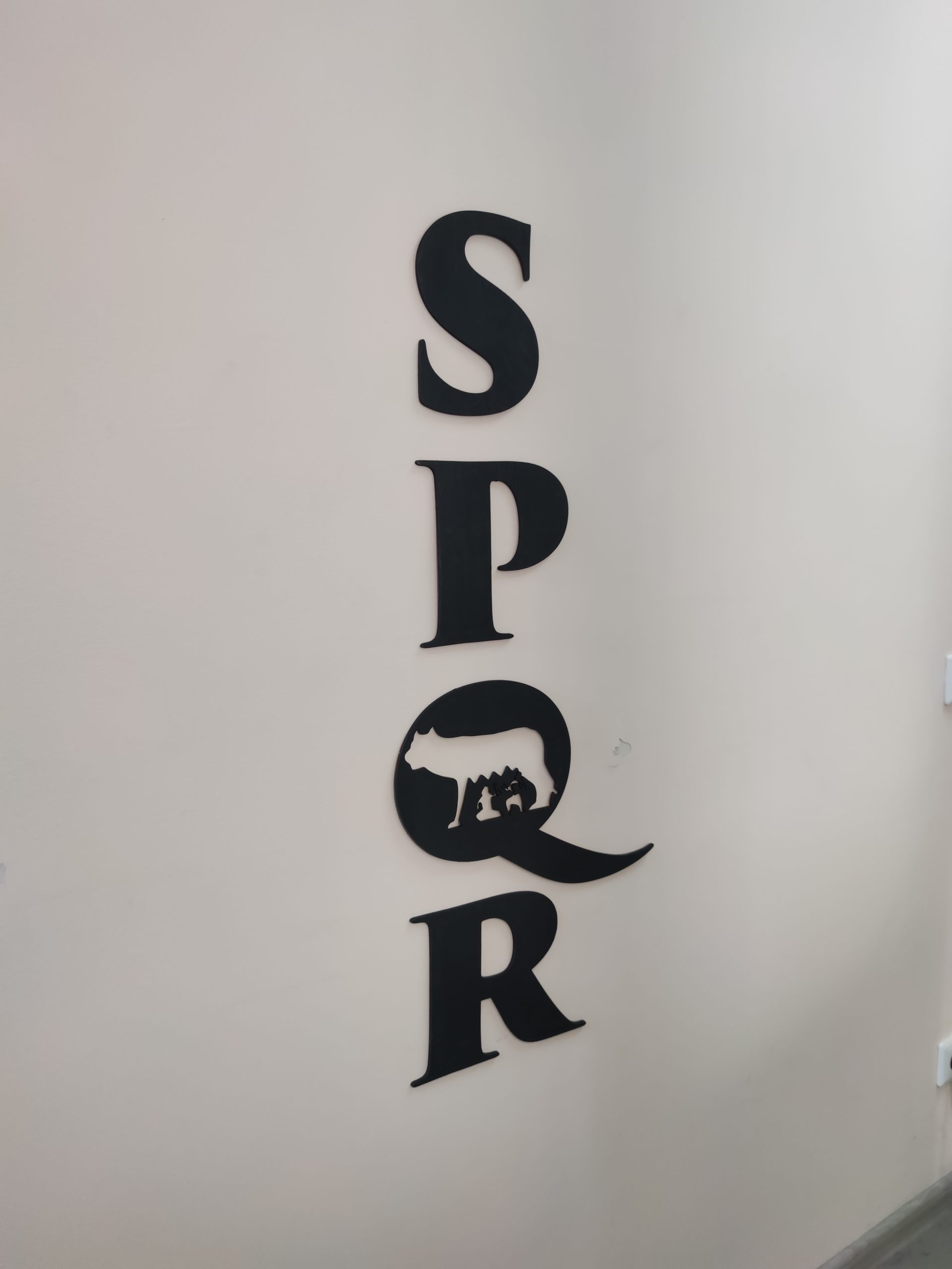 IMG_20230307_091155 (1) spqr wooden letters